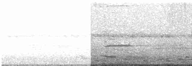 Avustralya Saksağanı - ML619608648