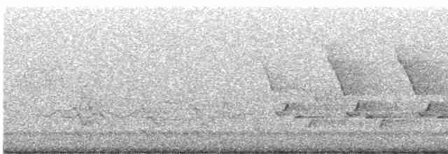 Каролинский крапивник - ML619608731