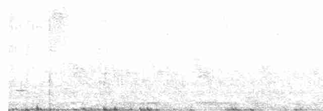 Кукушечья иглоногая сова - ML619608734