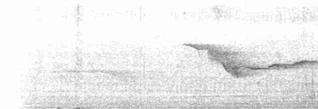 Gri Başlı Kanarya Sinekkapanı - ML619608752