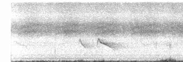 Ak Kaşlı Kasapkuşu - ML619608808