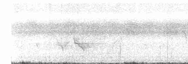 Ak Kaşlı Kasapkuşu - ML619608825