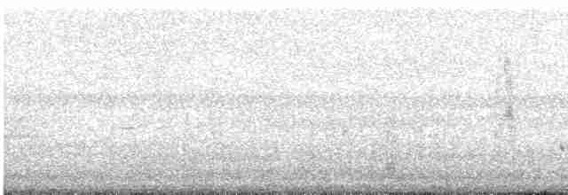 Bataklık Çıtkuşu - ML619608994