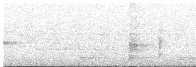 langhalemønjefugl - ML619609603