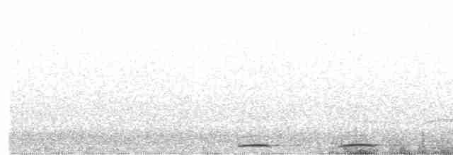 褐鷹鴞 - ML619610161