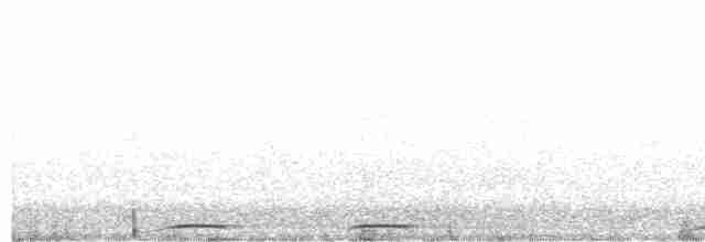 Иглоногая сова - ML619610162