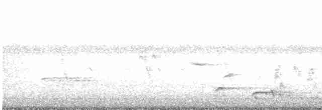 White-eared Sibia - ML619610172