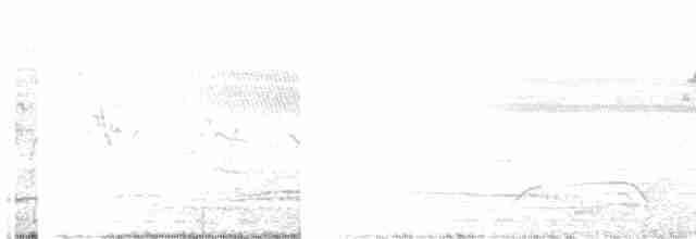 褐翅鴉鵑 - ML619610353