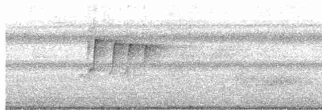 Fork-tailed Sunbird - ML619610517