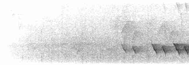 White-browed Shrike-Babbler (Blyth's) - ML619611063