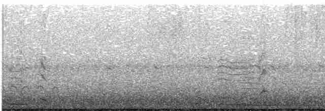 Cisne Negro - ML619612109