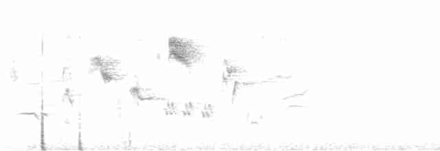 Oriole des vergers - ML619612145