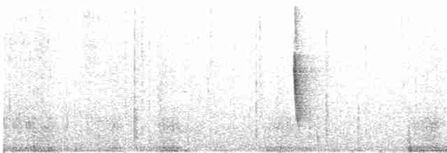 Evergreen-forest Warbler - ML619612243