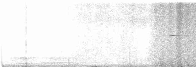גיבתונית רוננת - ML619612264