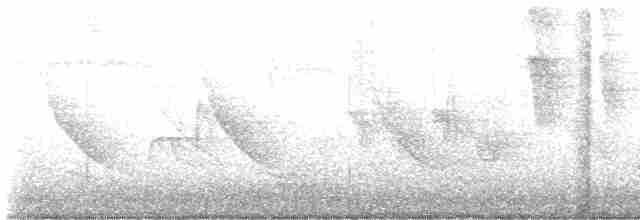 svartbrystparula - ML619612476