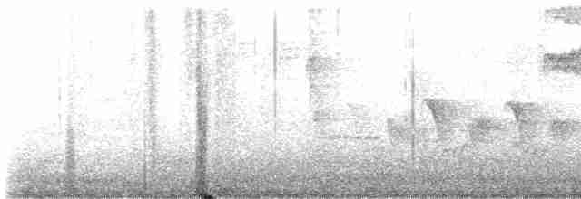 Черногорлая хвойница - ML619612477
