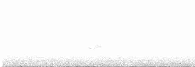 Бурый соловьиный дрозд - ML619612524