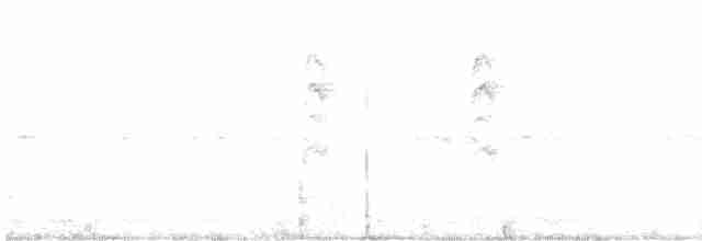 Новозеландская веерохвостка - ML619612725