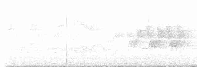 Черногорлая хвойница - ML619612798