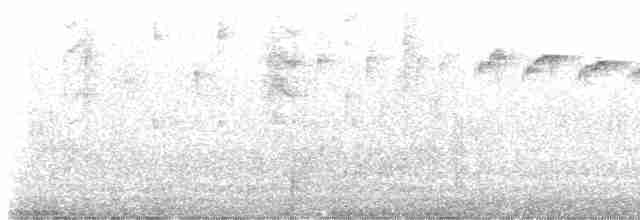Новозеландская веерохвостка - ML619612916
