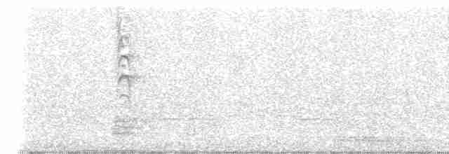 Новозеландская веерохвостка - ML619612930