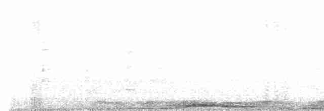 カワラバト（ドバト、家畜型） - ML619612937