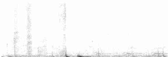 Chouette rayée - ML619613112