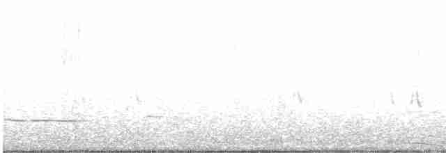 白冠雞 - ML619613253