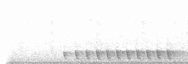 Gray Nightjar - ML619613509