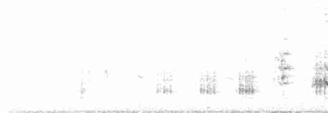 Rousserolle turdoïde - ML619613757