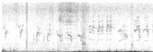 rákosník tamaryškový - ML619614196