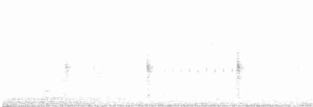 Troglodyte des marais - ML619614327