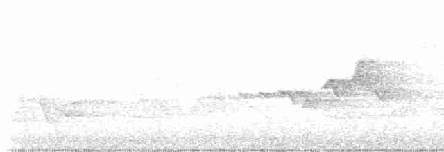 Paruline à capuchon - ML619614360