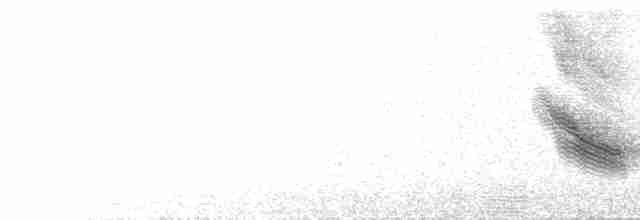 Spotless Starling - ML619614833