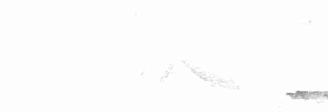 Тимелія-криводзьоб чорновуса - ML619614866