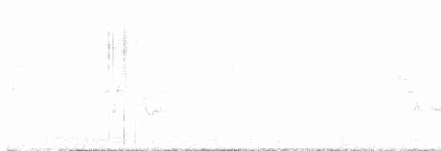 Blackpoll Warbler - ML619614983
