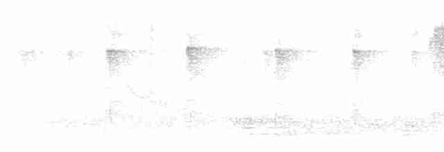 White-eared Sibia - ML619615076