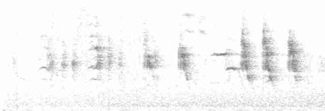 Blyth's Reed Warbler - ML619615248