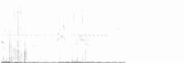 Ивовый мухолов - ML619615367