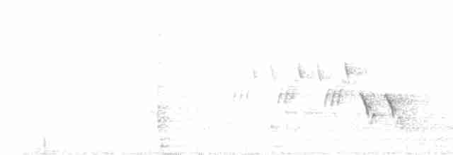 svartbrystparula - ML619615544