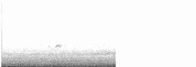 Kara Kanatlı Piranga - ML619615840