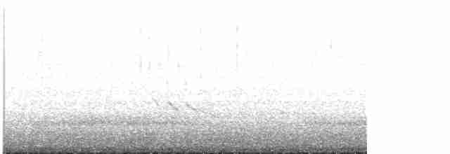Короткоклювый бекасовидный веретенник - ML619615889