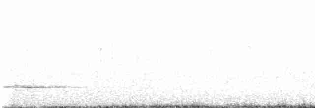 Sarı Karınlı Sinekkapan - ML619616234