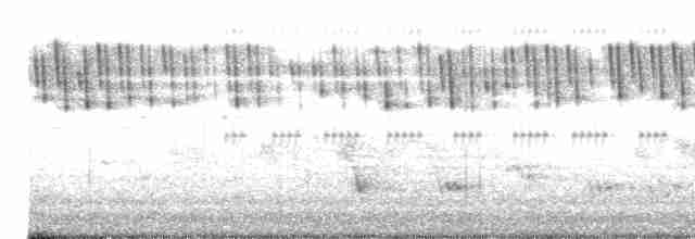 Кобилочка плямиста - ML619617121