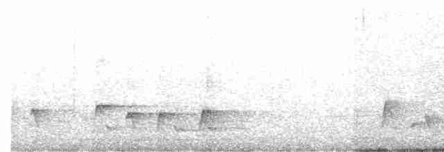 Sarı Başlı Arapbülbülü - ML619617124