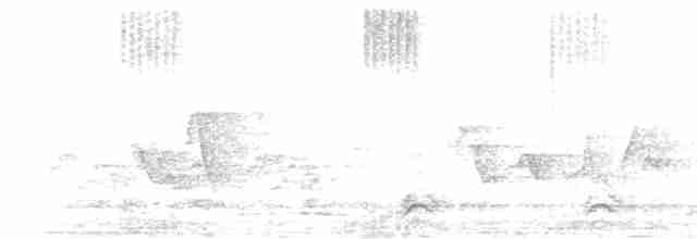 kalypta rubínohrdlá - ML619617246