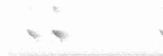 Evening Grosbeak (type 1) - ML619617574