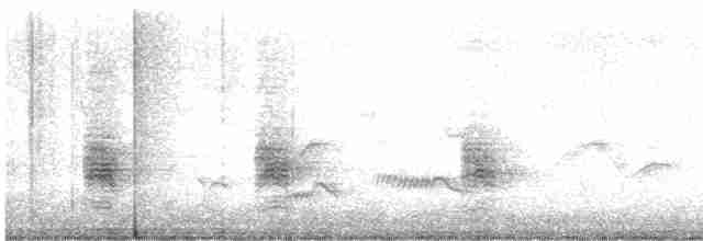 Сорокопуд терновий - ML619617666