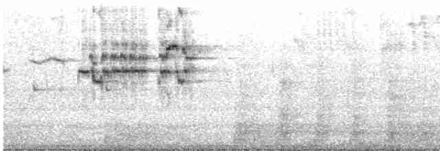 Дрізд-короткодзьоб сіроголовий - ML619617966