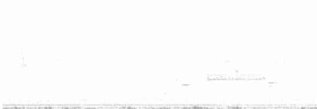 דרורן זהוב - ML619618025
